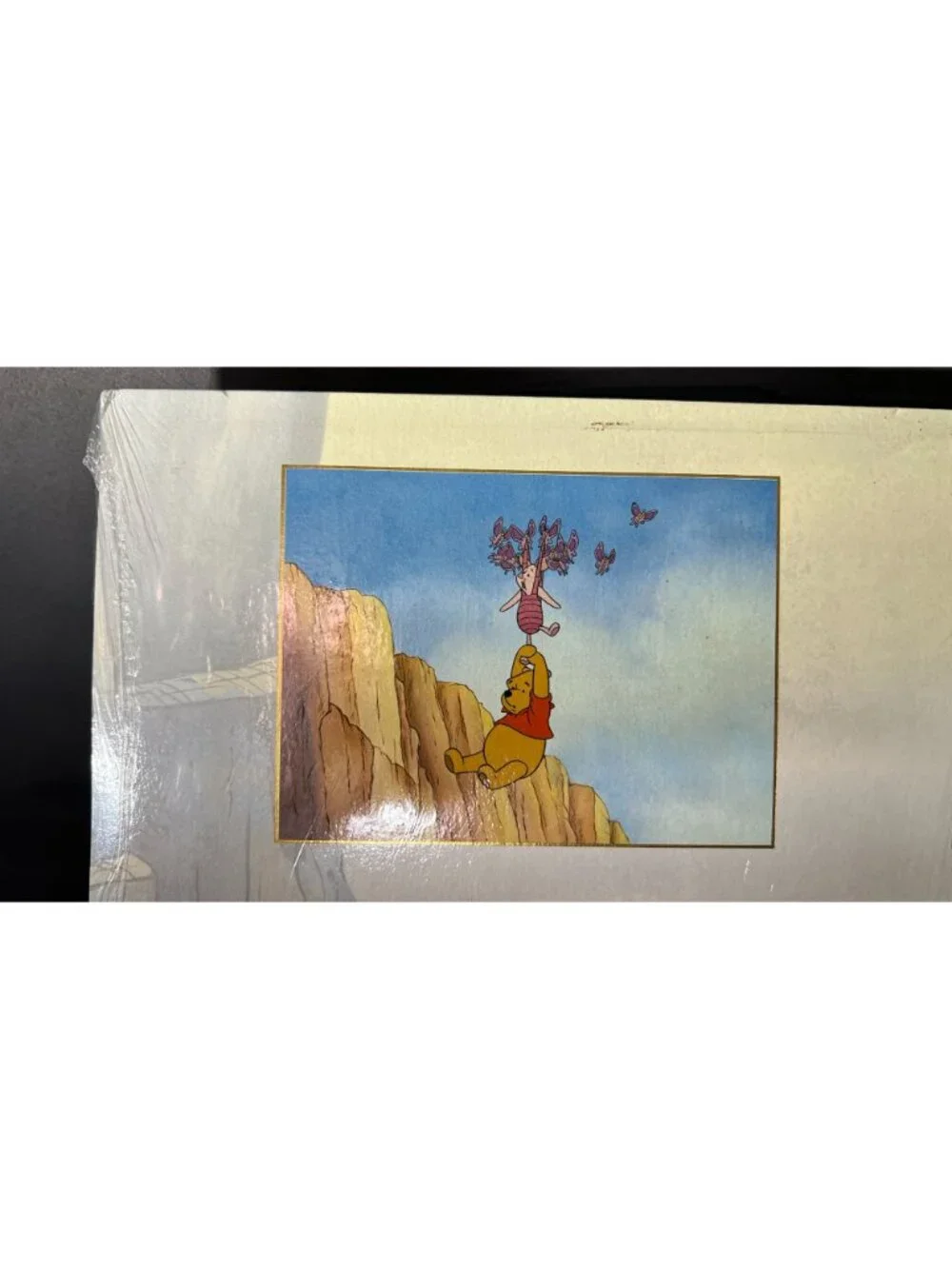 Poohs Grand Adventure Disney Store Exclusive Litho Portfolio